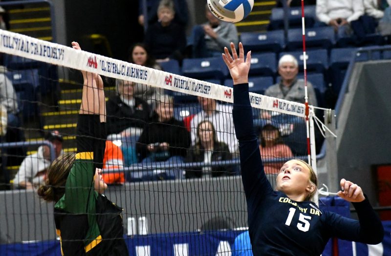 Position Rankings Update: 2028 Setters