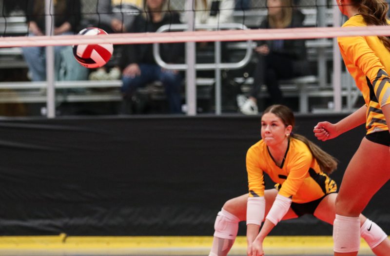 DS’ that Dominated Prep Dig Sizzle