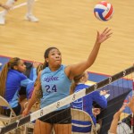 Nets Over Texas 2 – 18s Division Difference-Making Pin Hitters