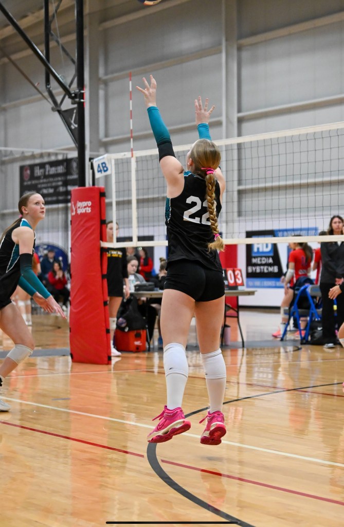 Hayden Alexandria Webb