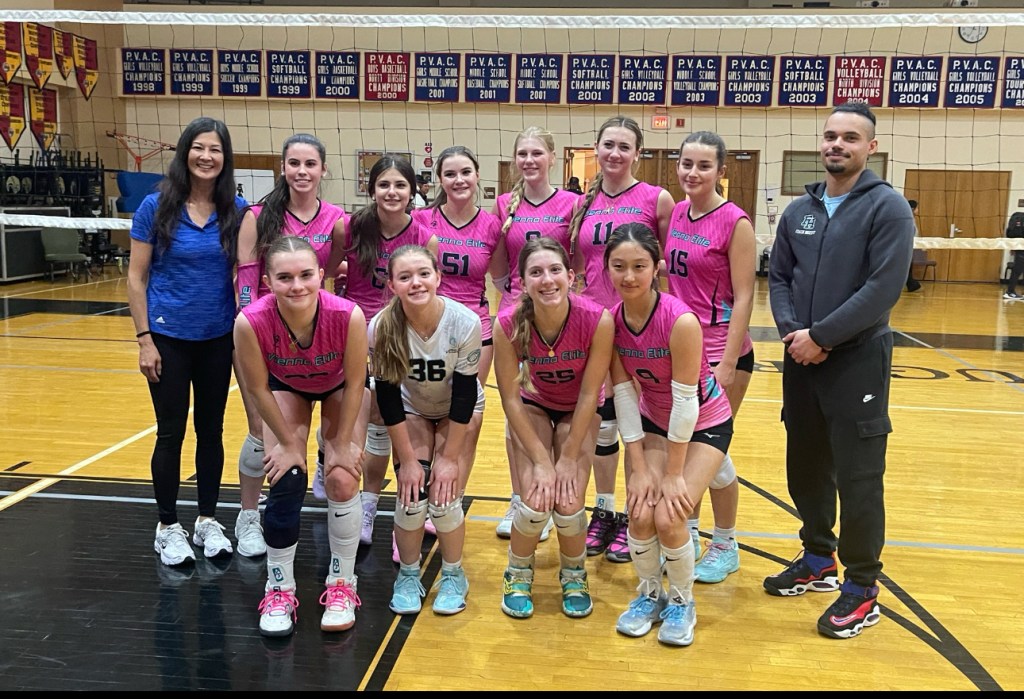 Vienna Elite and MOJO Win Gold in Platform Open Tournament