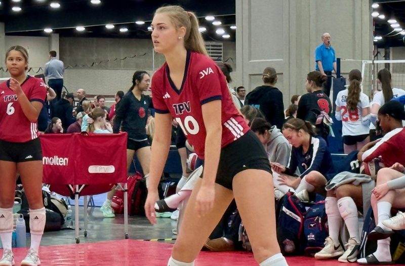 Taylor Elizabeth Collins