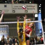 Volleyball Represents at 2026 Drake Relays