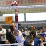 Scintillating Setters from 2026 Windy City NQ