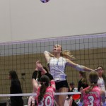 Going Gauntlet Team Preview – Impact 15-1 Elite