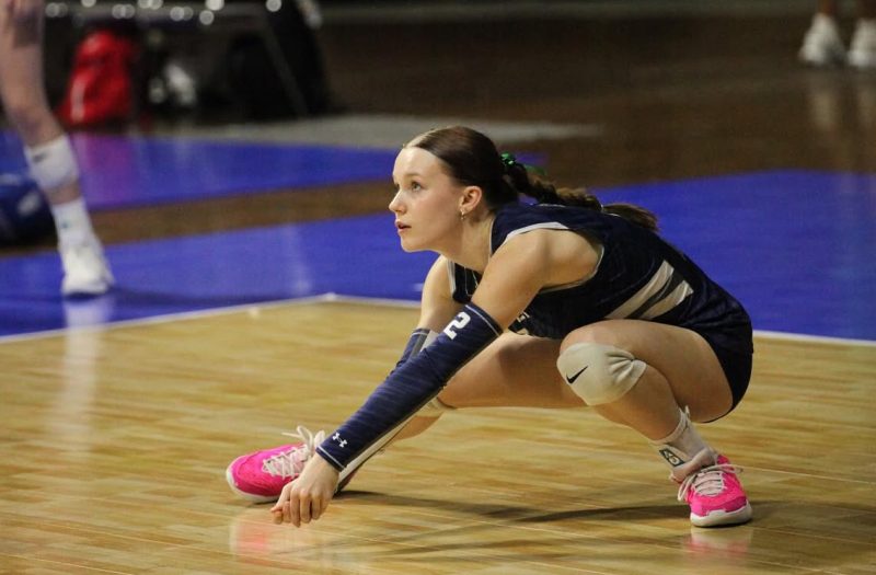 15-17's "Dawgs" of the Backrow