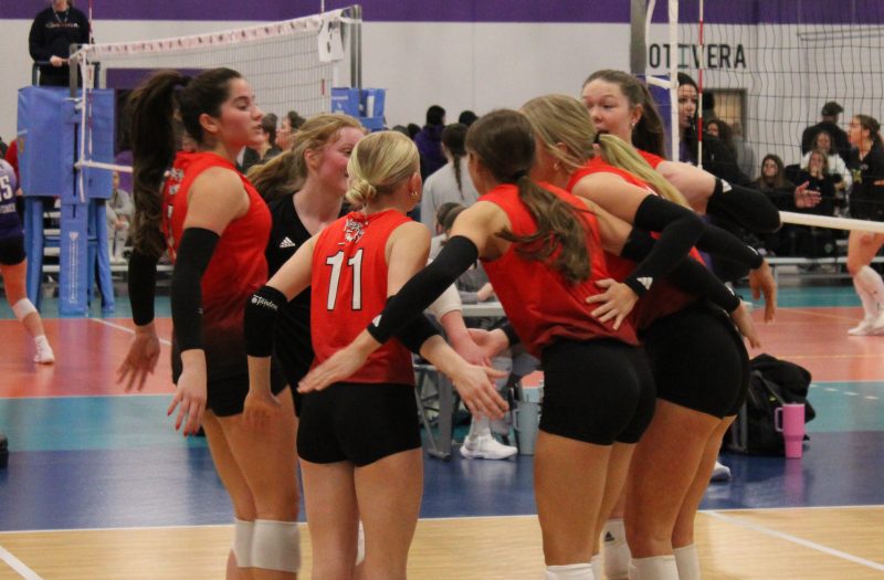 Nebraska Bid Tracker: Nebraska Jrs 17 Black’s Texas Triumph