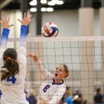 Alayna Streeter