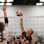 Taylor Hinshaw