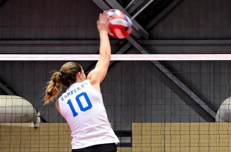 Player Evaluations: New Additions to the Watchlist