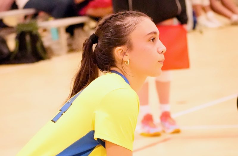 PD Gauntlet: 16 Premier Standouts