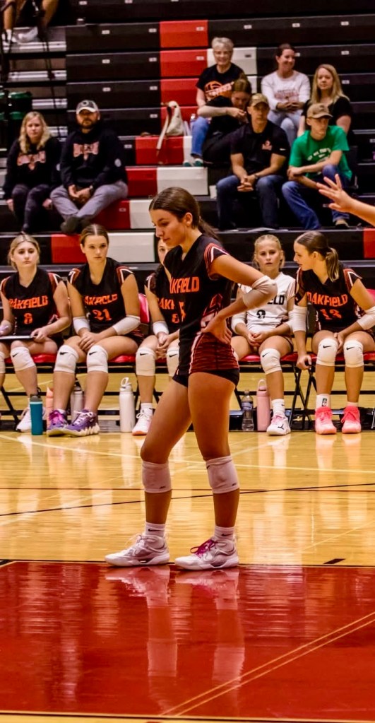 Addison Hanke