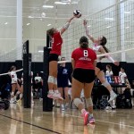 Ashlyn Pavoni