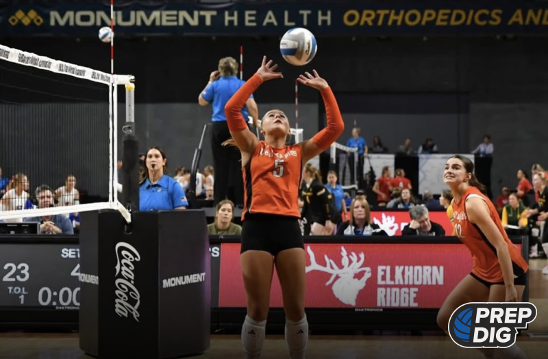 Let's Talk About These 2029 Setters
