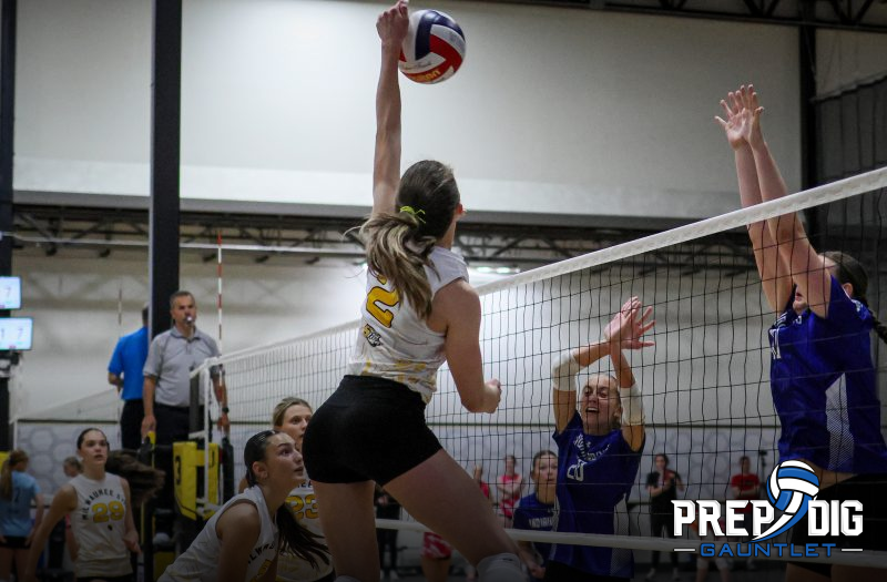 Prep Dig Rachel’s Gauntlet Athletes Who Wowed | Sting Center
