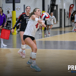 Available ’27s who Dominated the 17 Elite Gauntlet | Sting Center