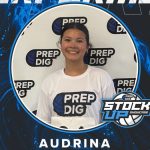 Houston Stock Up Showcase Top Performers Vol 4
