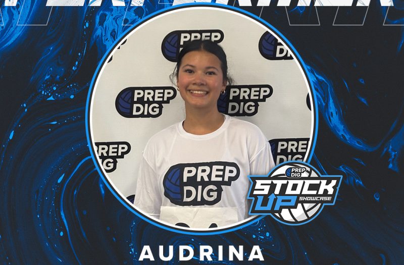Houston Stock Up Showcase Top Performers Vol 4