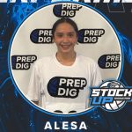 Houston Stock Up Showcase Top Performers Vol 5