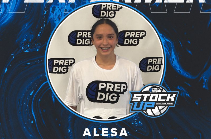 Houston Stock Up Showcase Top Performers Vol 5