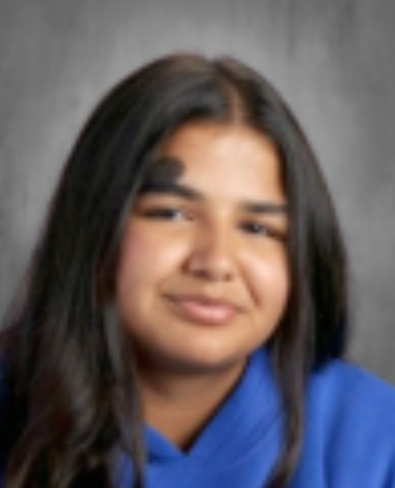 Sasha Pal