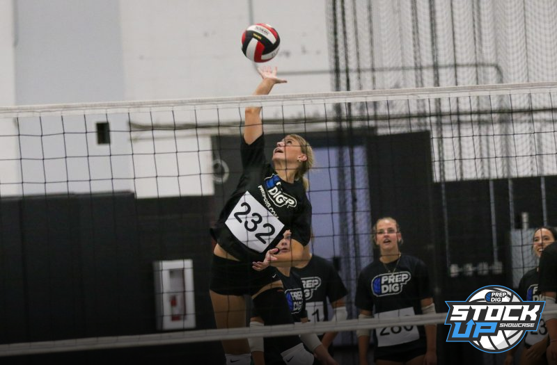 New Discoveries from Iowa Stock Up Showcase