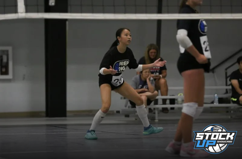 DS’s I Liked At The Iowa Stock Up Showcase, Part 1