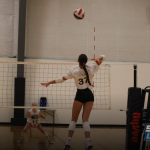 Versatile Stars Do It All at Nebraska Stock Up Showcase