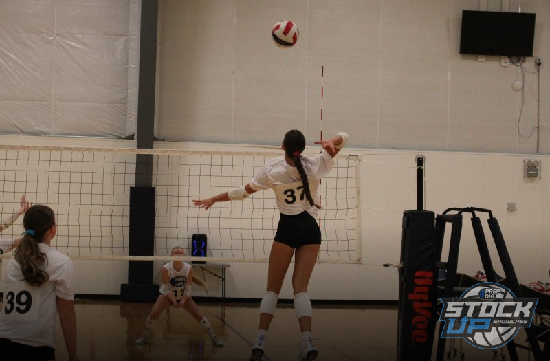 Versatile Stars Do It All at Nebraska Stock Up Showcase
