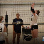 Setters Run the Show at Nebraska Stock Up Showcase