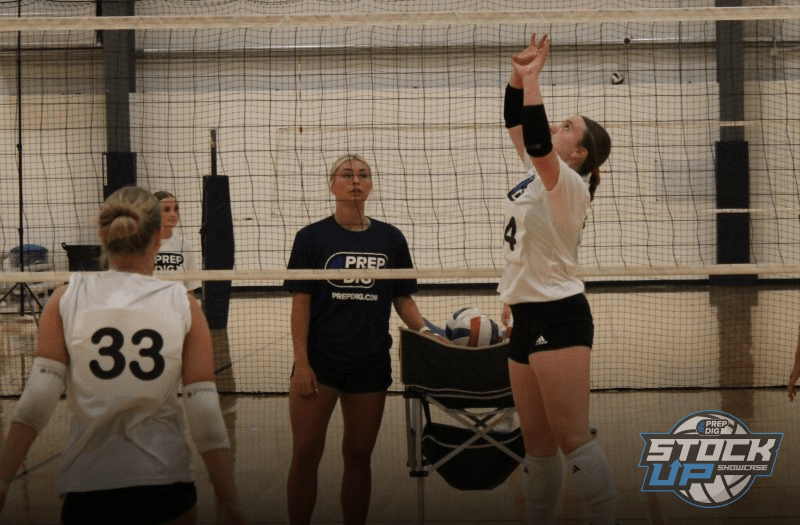 Setters Run the Show at Nebraska Stock Up Showcase