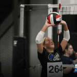 Setters Who Impressed at the Iowa Stock Up Showcase: Part 1