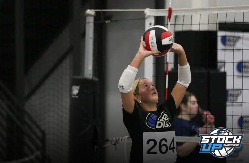 Setters Who Impressed at the Iowa Stock Up Showcase: Part 1