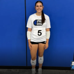 Good Batch of Setters at Houston Stock Up Showcase