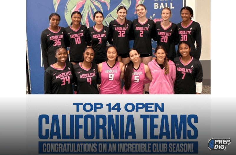 Top 14 Open Teams: Building the Foundation