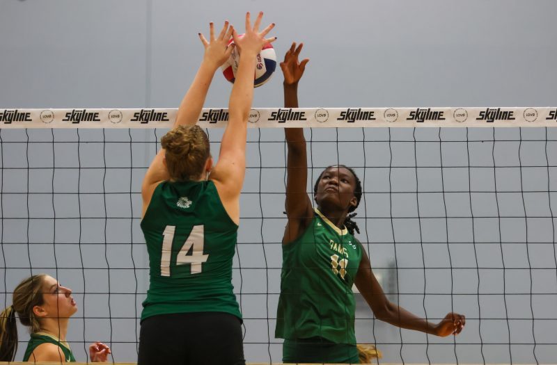 Houston Open 2026 – Photos
