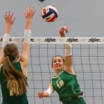 Pin Hitters Who Balled Out at Houston Open