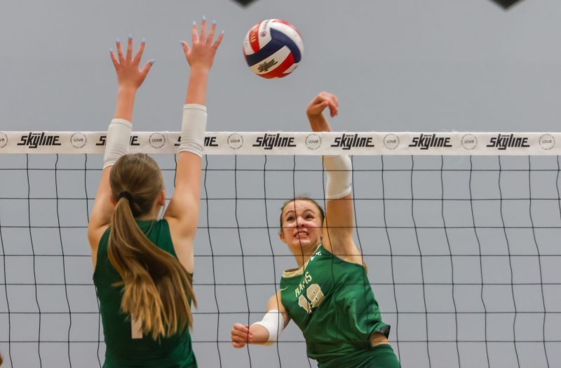 Pin Hitters Who Balled Out at Houston Open