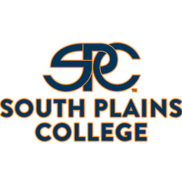 South Plains