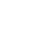 Lenoir-Rhyne logo