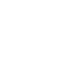 Lenoir-Rhyne logo