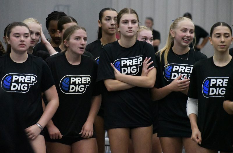 Part 3 Of Stock Up Showcase 2029 Player Evaluations