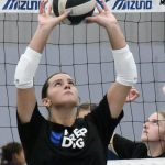 Part 1 Of Stock Up Show Case 2029 Player Evaluations