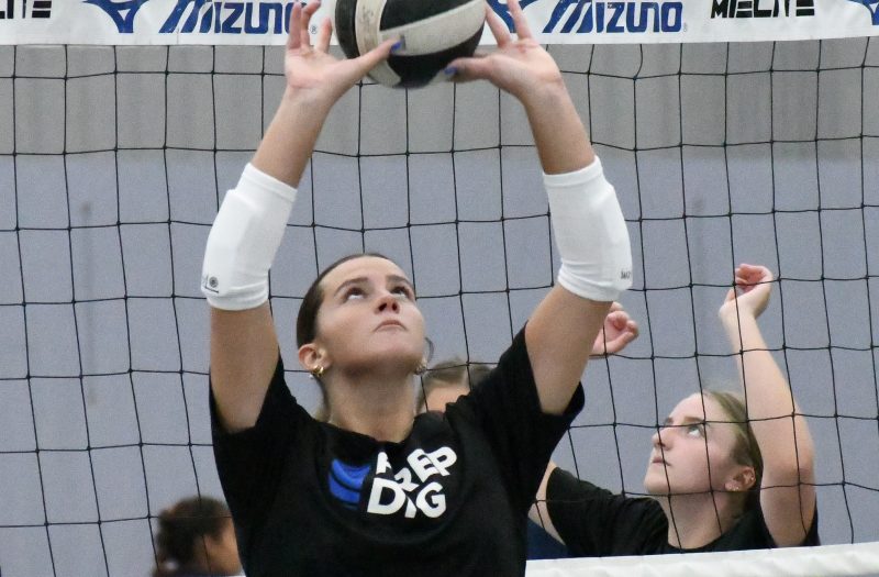 Part 1 Of Stock Up Show Case 2029 Player Evaluations
