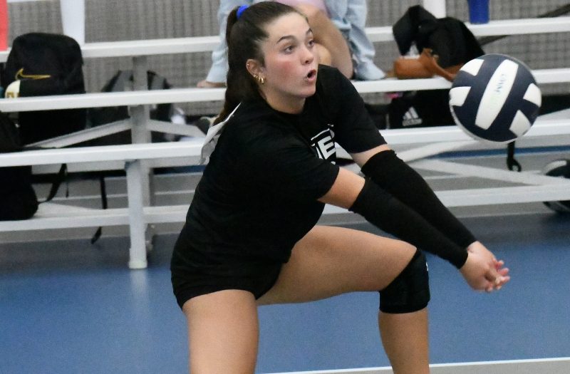 Stock Up Showcase 2028 Evaluations, Part 1