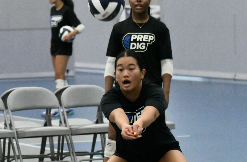 Stock Up Showcase 2028 Evaluations, Part 3
