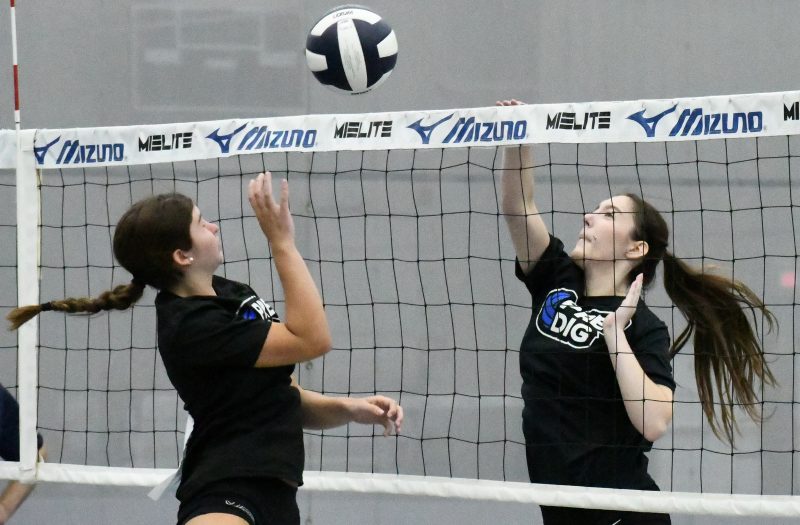 Michigan Stock Up Showcase Photo Gallery