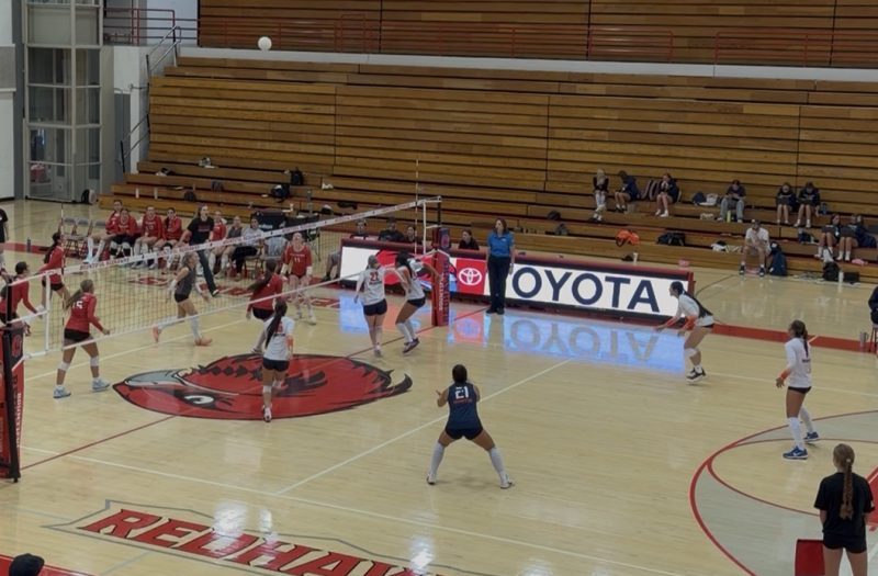 Versatile Athletes Making Their Mark