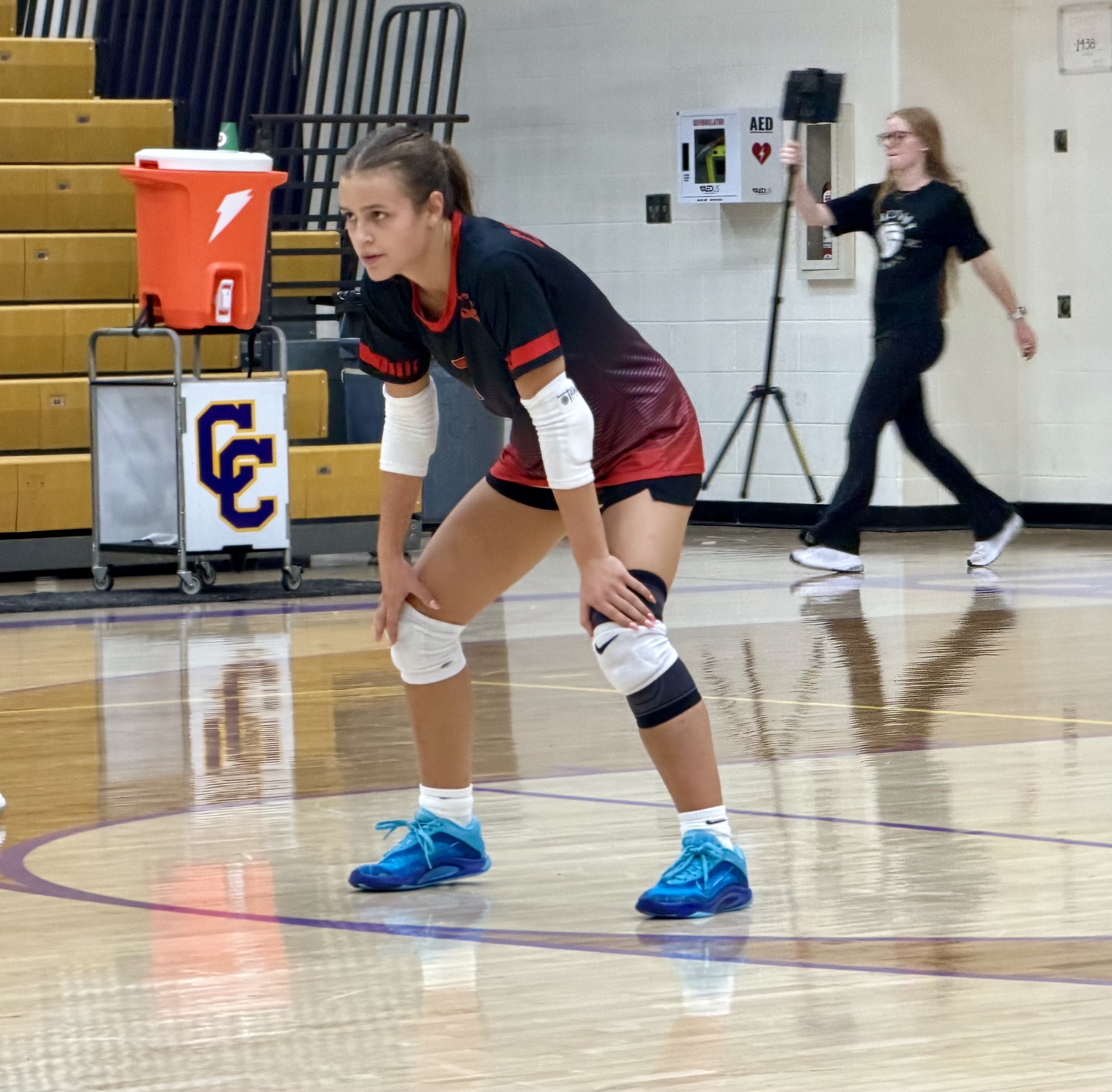 Madison Stelzer