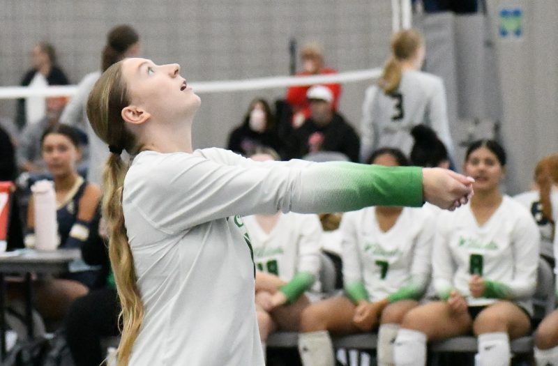 A Dozen Oakland County Stars Stepping Up In 2026